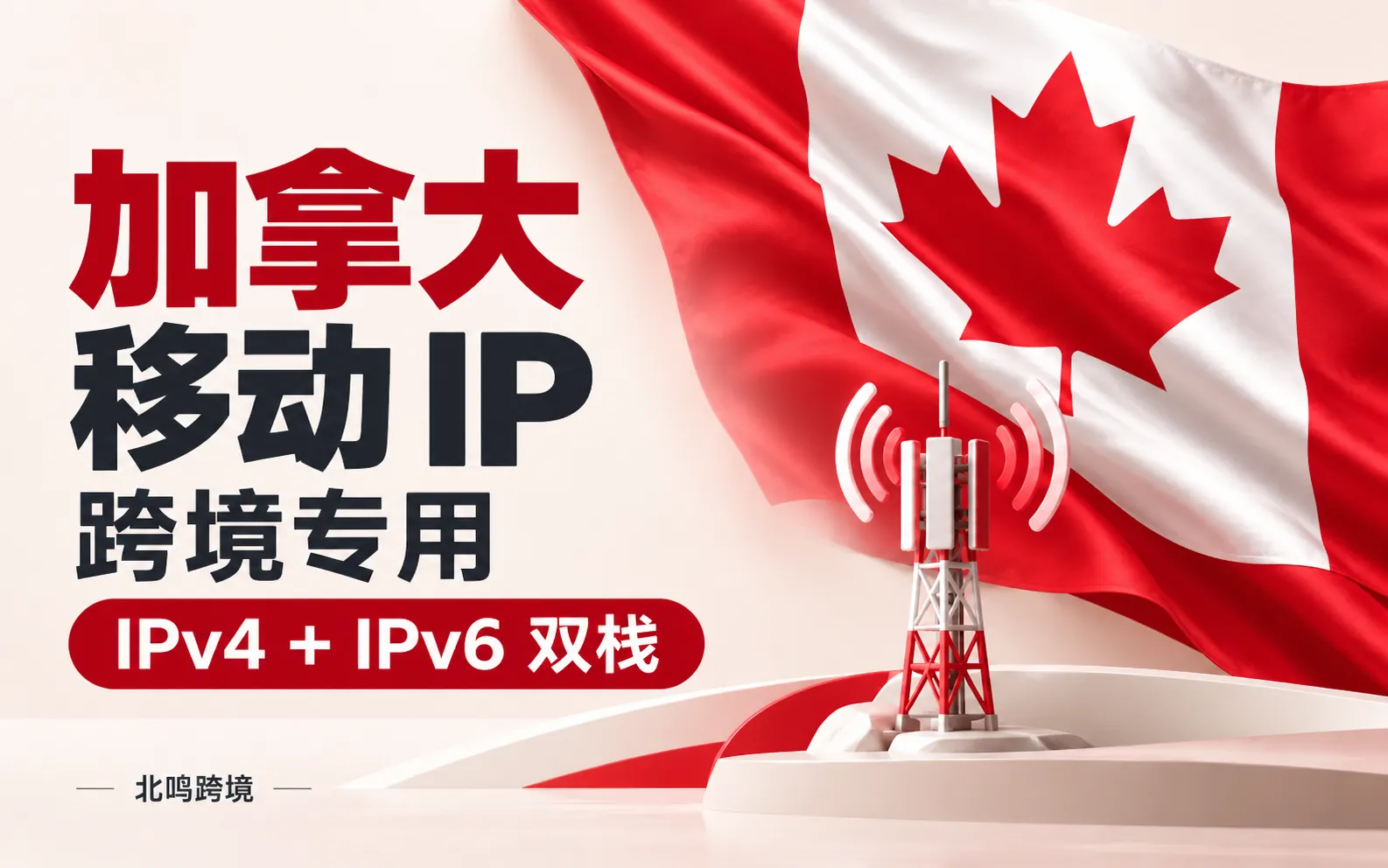 加拿大移动 IP｜跨境专用
